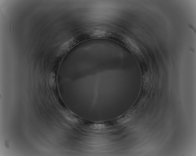 X0000097590361200803071326