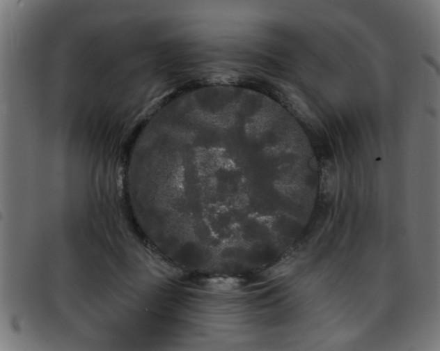 X0000097590363200803071326