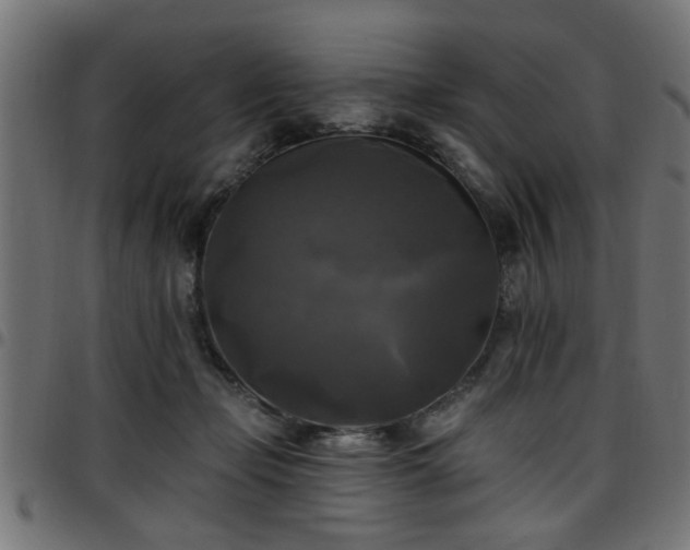 X0000097590365200803071326