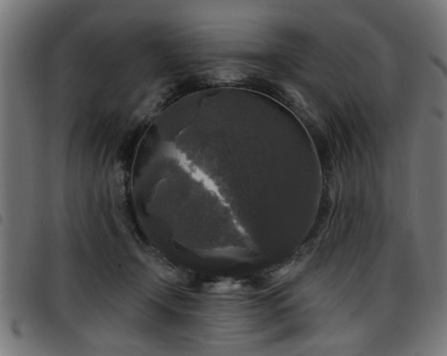 X0000097590366200803071326