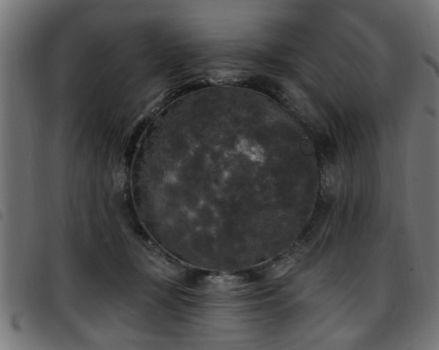 X0000097590367200803071326