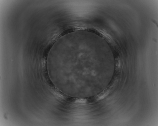 X0000097590369200803071326