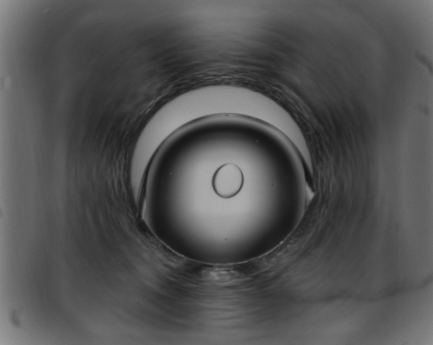 X0000097590372200803071326