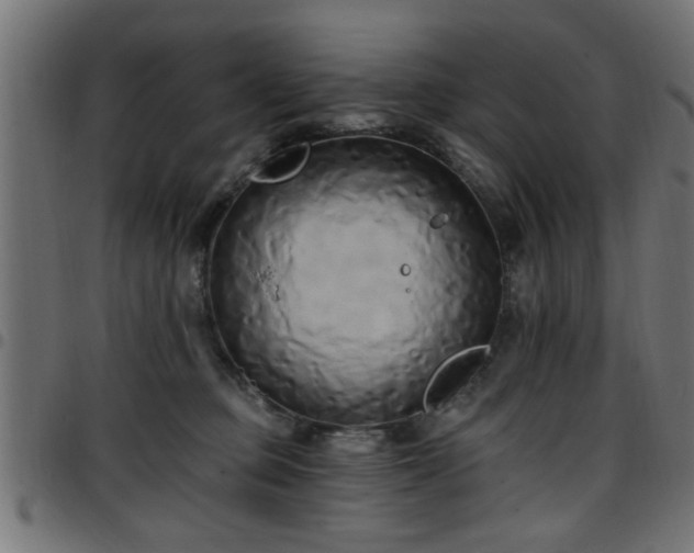 X0000097590373200803071326