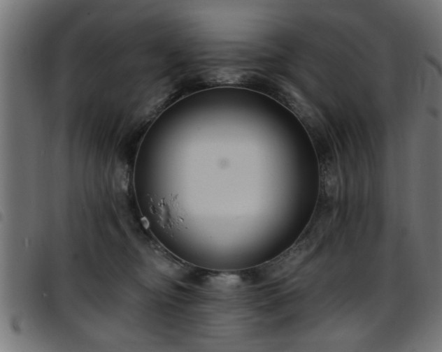 X0000097590374200803071326