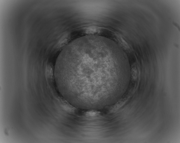 X0000097590375200803071326