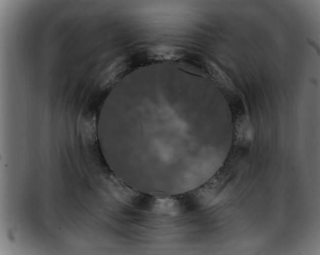 X0000097590376200803071326