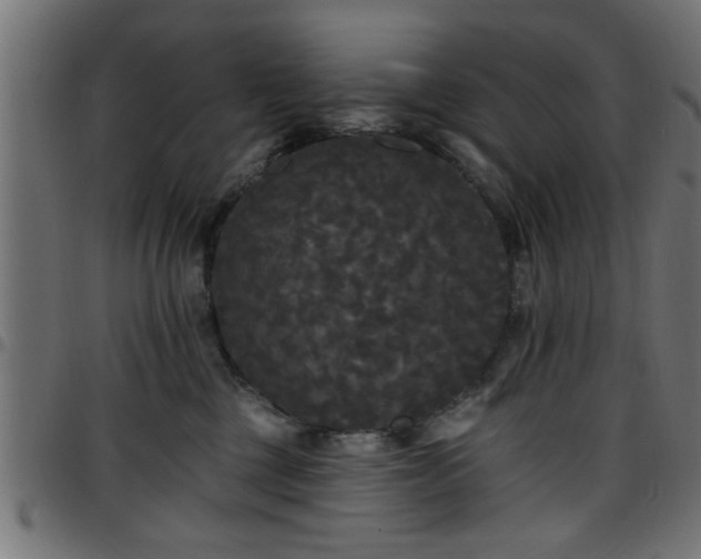 X0000097590377200803071326