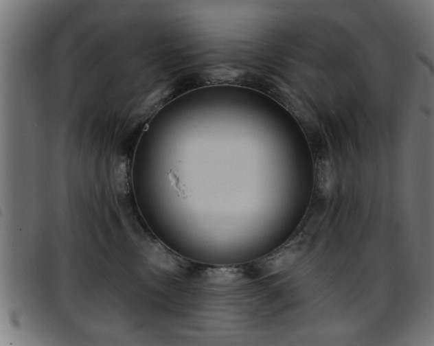 X0000097590378200803071326