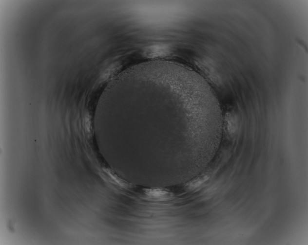 X0000097590380200803071326