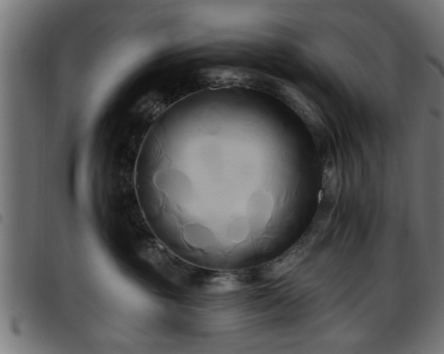 X0000097590381200803071326