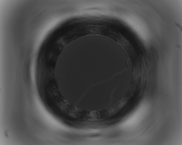 X0000097590383200803071326