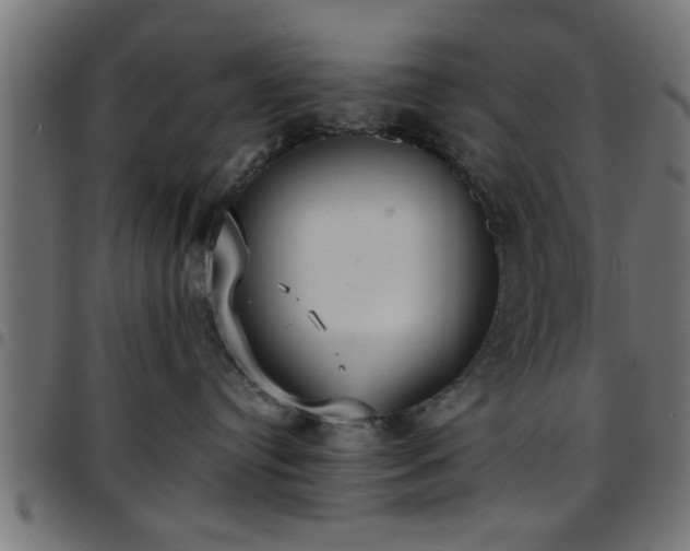 X0000097590384200803071326