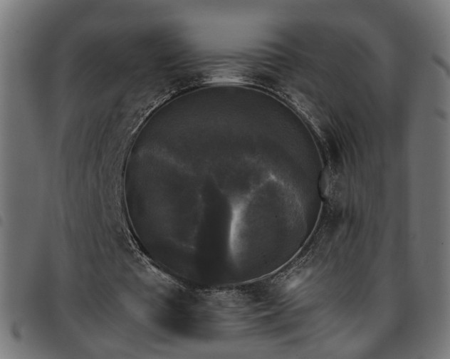 X0000097590385200803071325