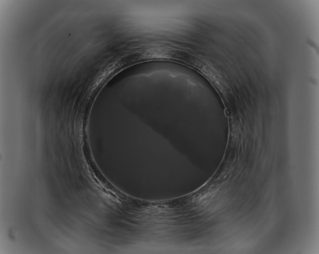 X0000097590386200803071325