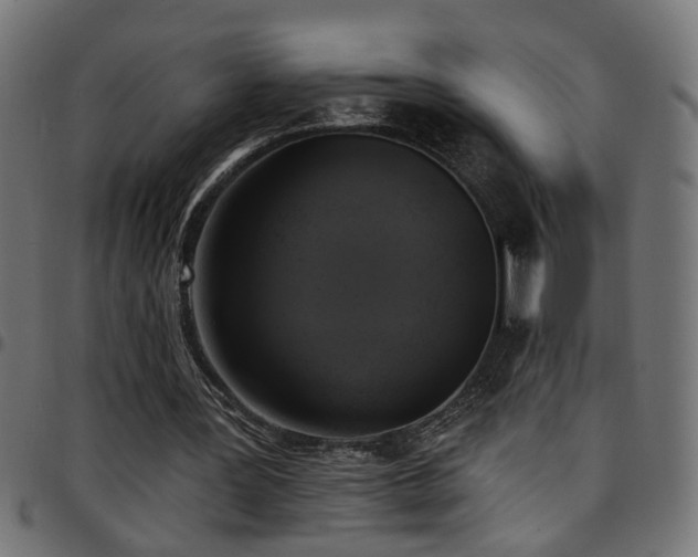 X0000097590387200803071325