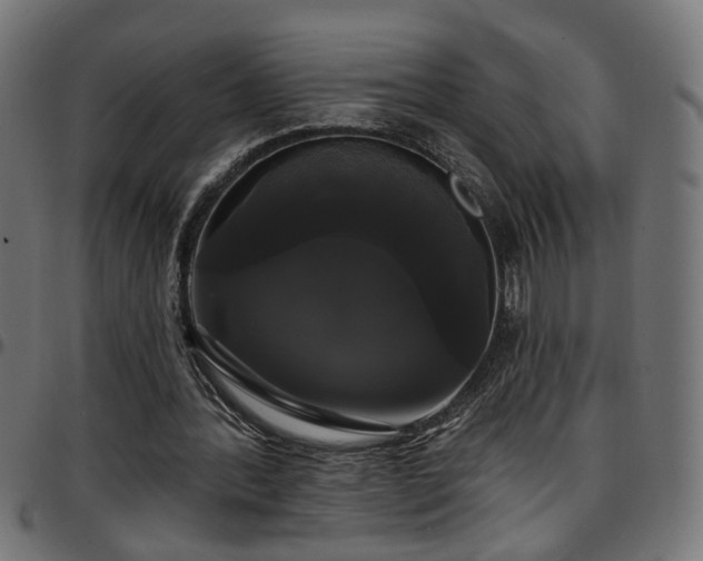 X0000097590388200803071325