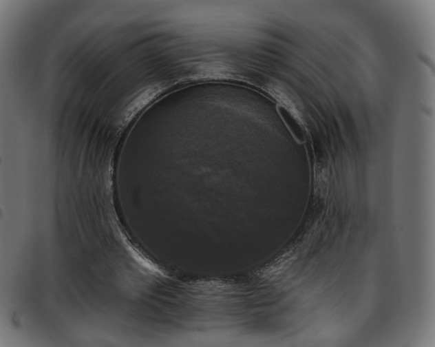 X0000097590389200803071325