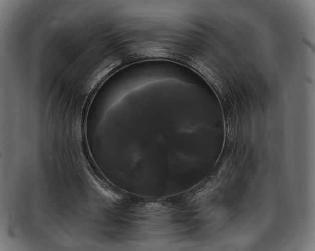 X0000097590390200803071325