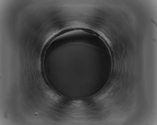 X0000097590391200803071325