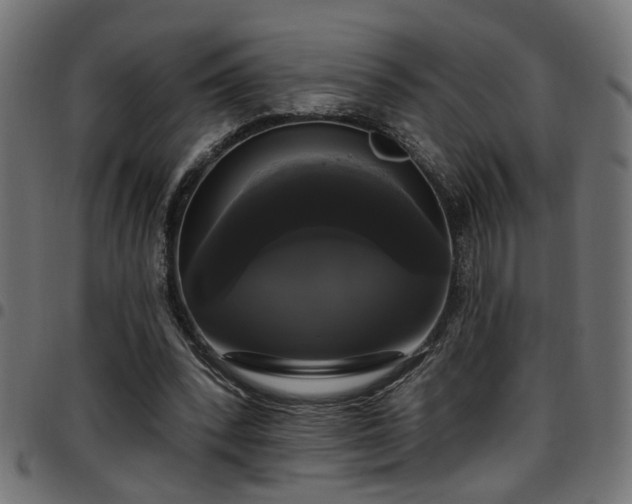 X0000097590392200803071325