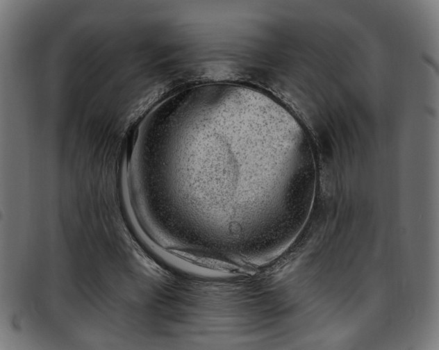 X0000097590393200803071325