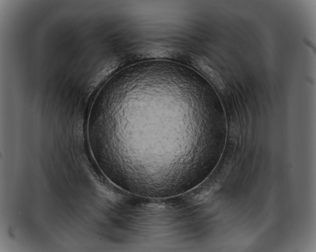 X0000097590394200803071325