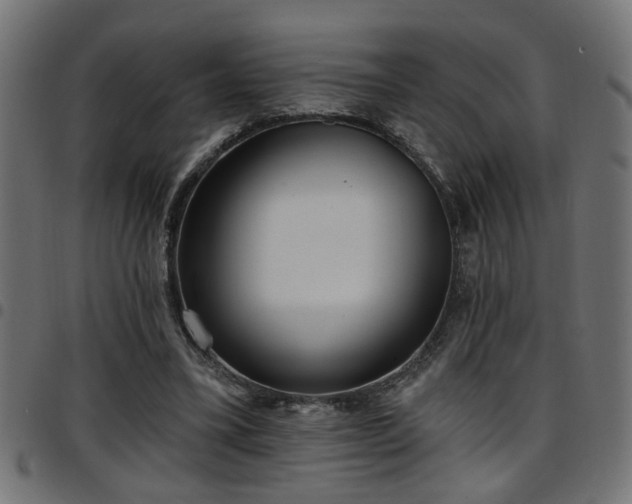 X0000097590395200803071325