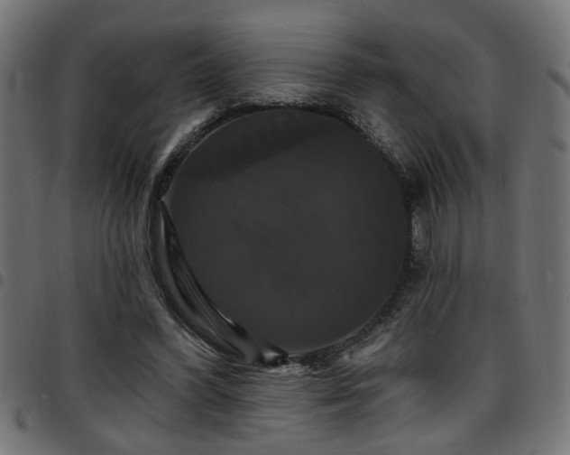 X0000097590396200803071325