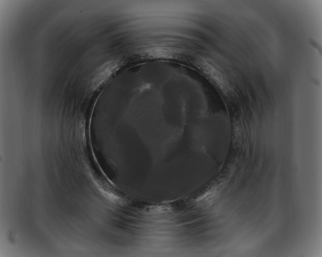 X0000097590398200803071325