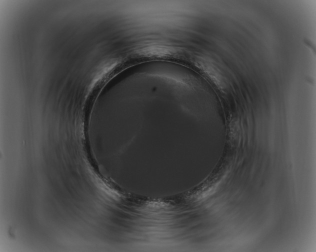 X0000097590399200803071325