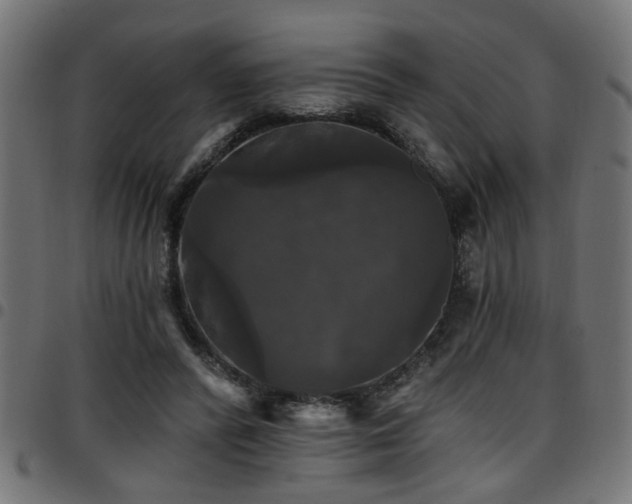 X0000097590400200803071325