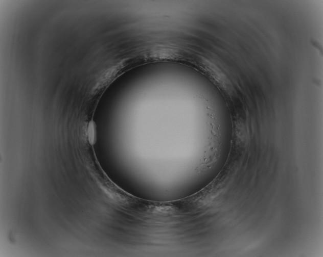 X0000097590401200803071325