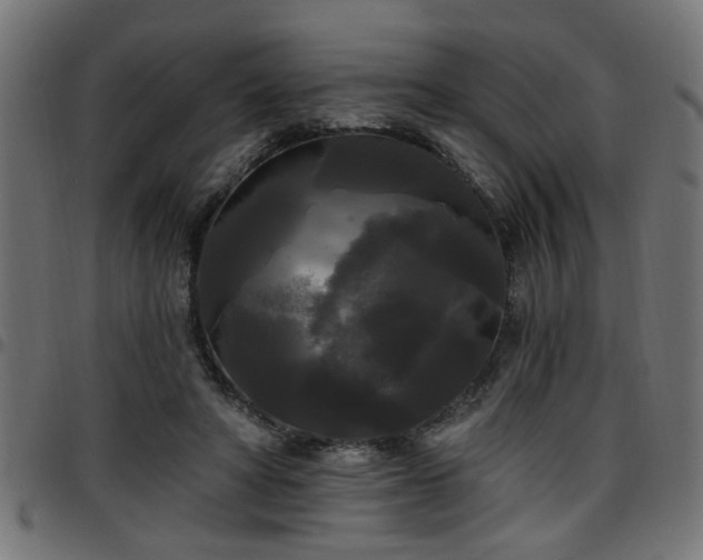 X0000097590402200803071325