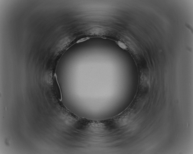 X0000097590403200803071325