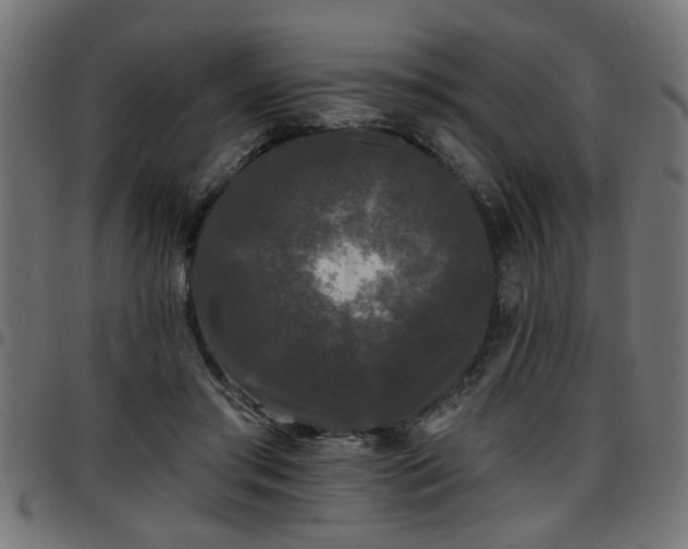 X0000097590405200803071325