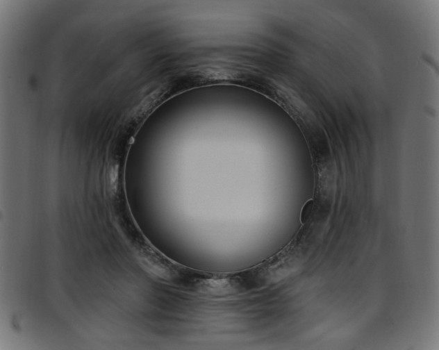 X0000097590406200803071325