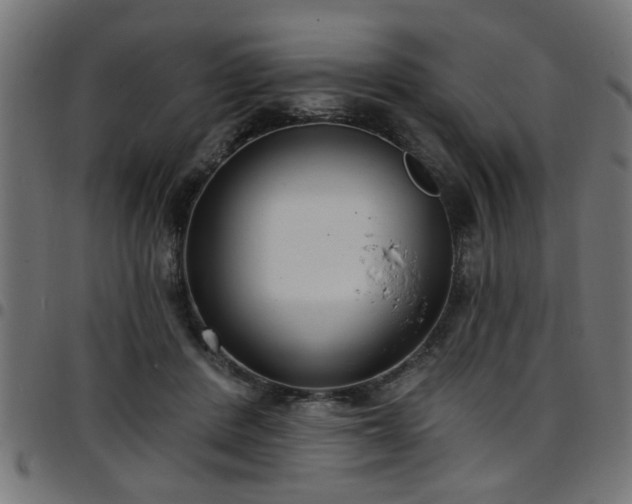 X0000097590408200803071325