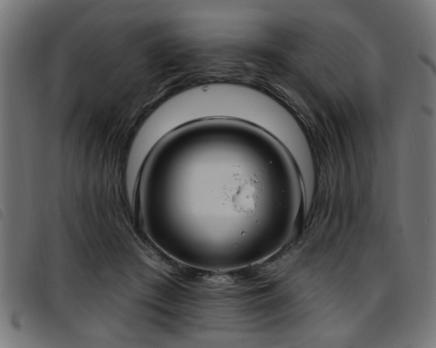 X0000097590409200803071325