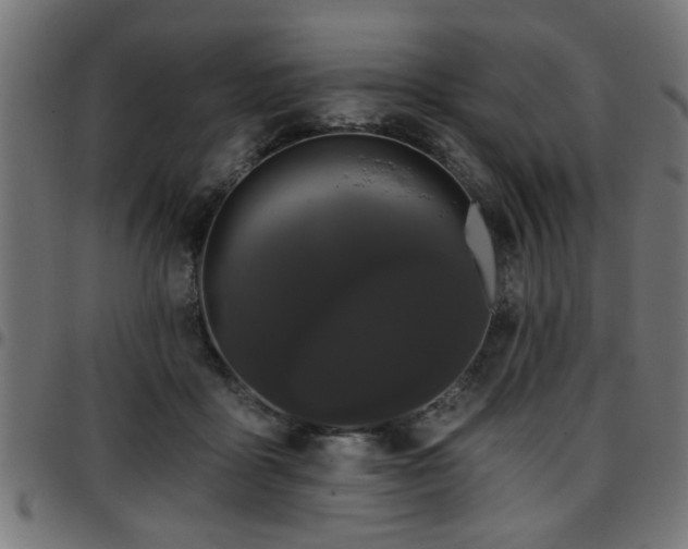 X0000097590411200803071325