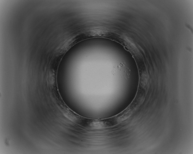 X0000097590413200803071325