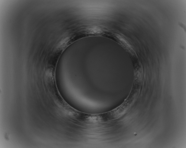 X0000097590415200803071325