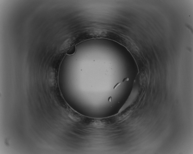 X0000097590416200803071325