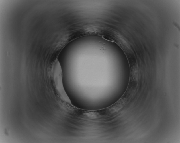 X0000097590417200803071325