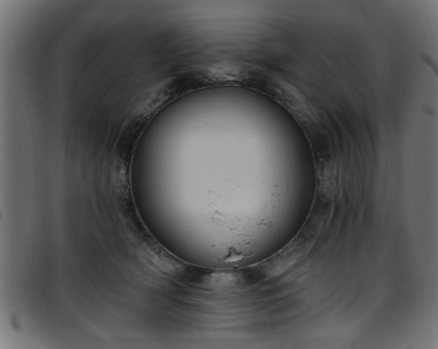 X0000097590418200803071325