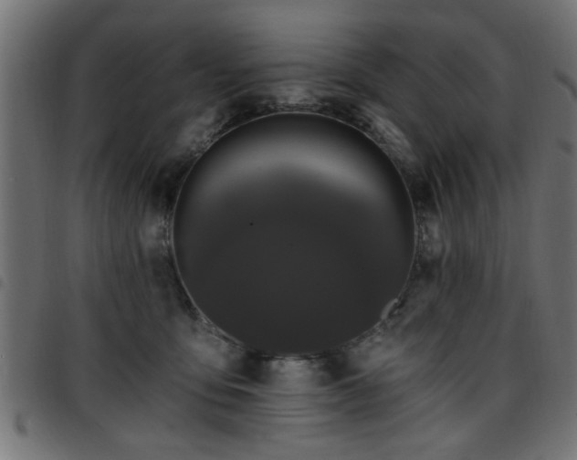 X0000097590419200803071325