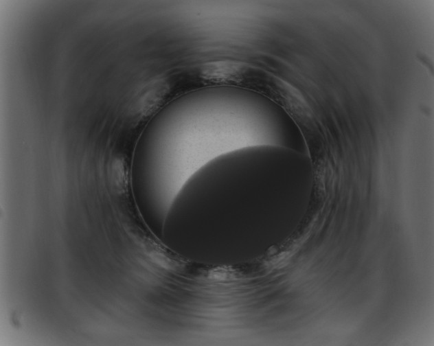 X0000097590420200803071325