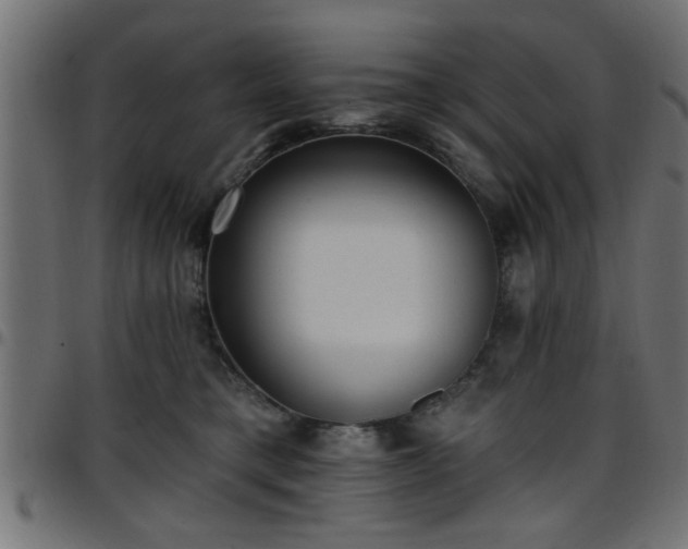 X0000097590421200803071325