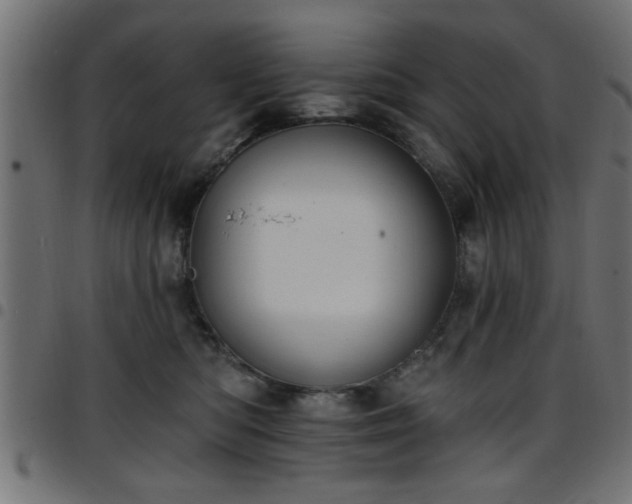 X0000097590422200803071325