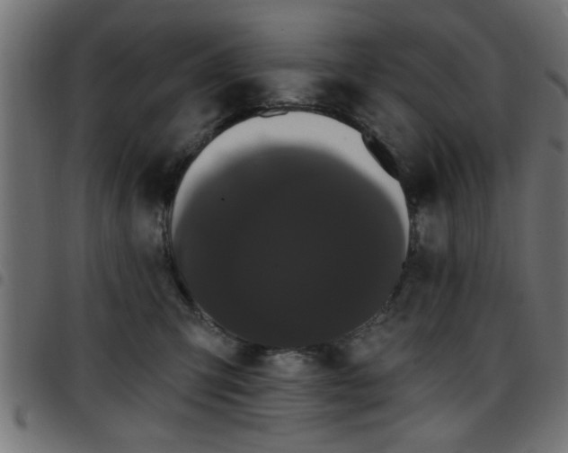 X0000097590423200803071325